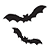 Bats and spiders