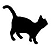 Black cat