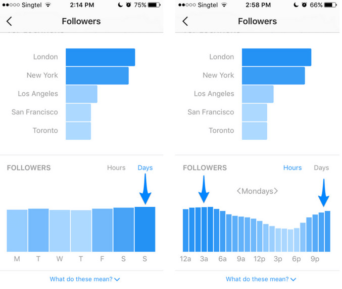 Followers Graph