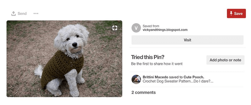 Physical product (dog costume) selling on Pinterest