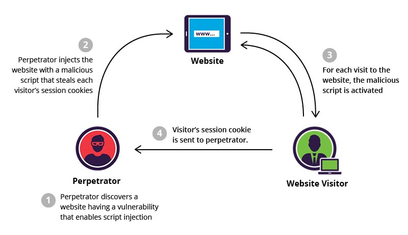 Wordpress cross site scripting