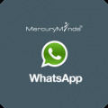Whatsapp_product_page_addon.png