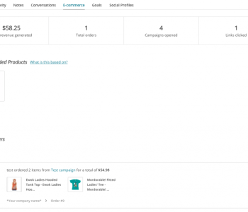 Purchase-Statistics-in-Mailchimp-1024x693-1.png