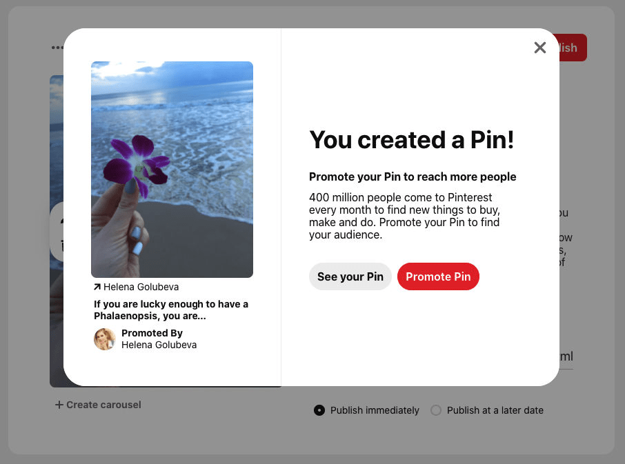 Pinterest Promoted Pin