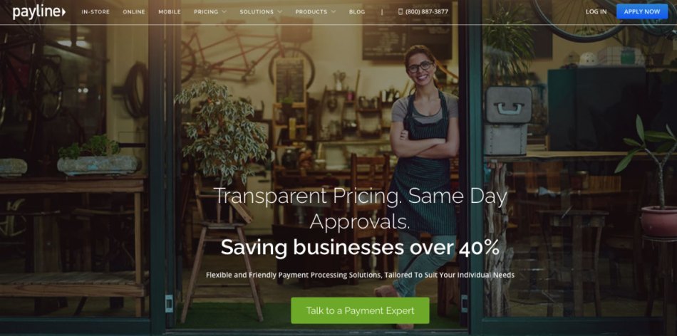 Payline Credit Card Processing Tool