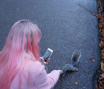 Lady taking pictures of animals