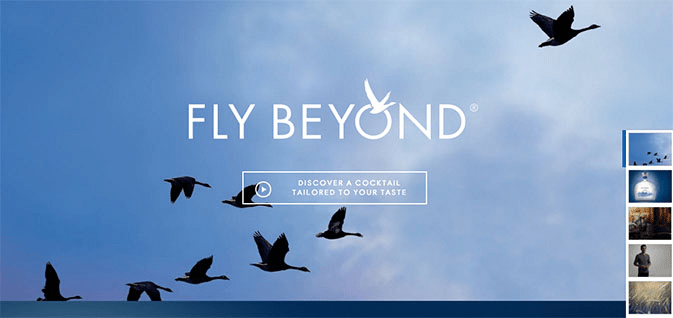 Powerful call to action for your eCommerce forms