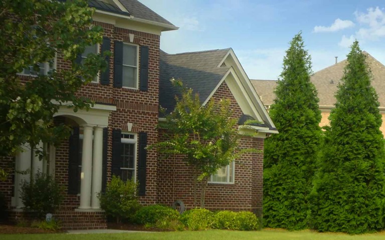 Fast-Growing Trees